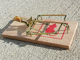 mousetrap