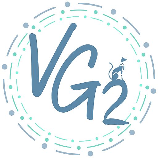 virtualgo2